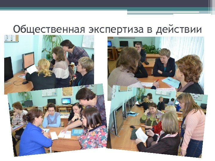 Общественная экспертиза в действии 