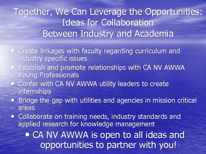 Together, We Can Leverage the Opportunities: Ideas for Collaboration Between Industry and Academia •