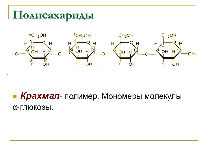 Полисахариды n Крахмал- полимер. Мономеры молекулы α-глюкозы. 