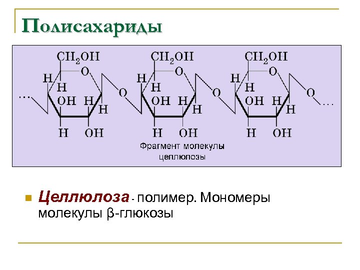 Углеводы строение и функции