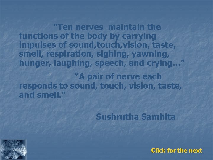 “Ten nerves maintain the functions of the body by carrying impulses of sound, touch,