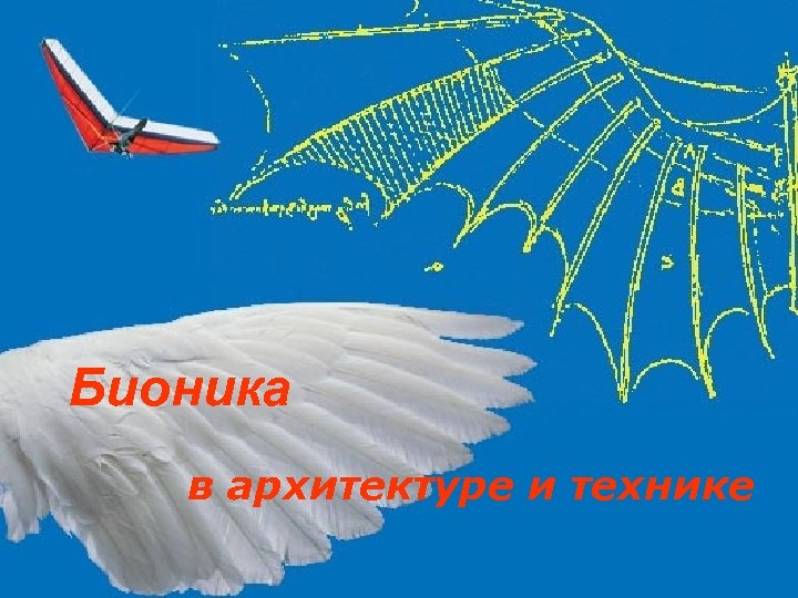 Бионика в архитектуре и технике 