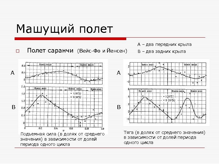 Машущий полет o Полет саранчи А – два передних крыла (Вейс-Фо и Йенсен) A