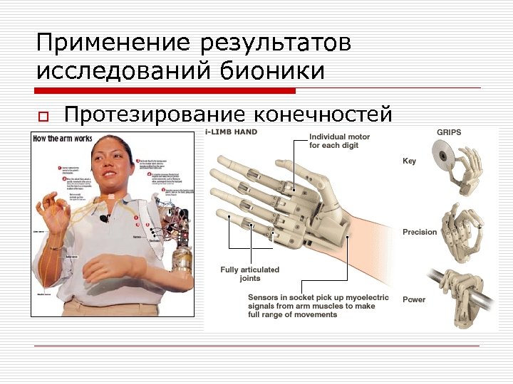 Применение результатов исследований бионики o Протезирование конечностей 