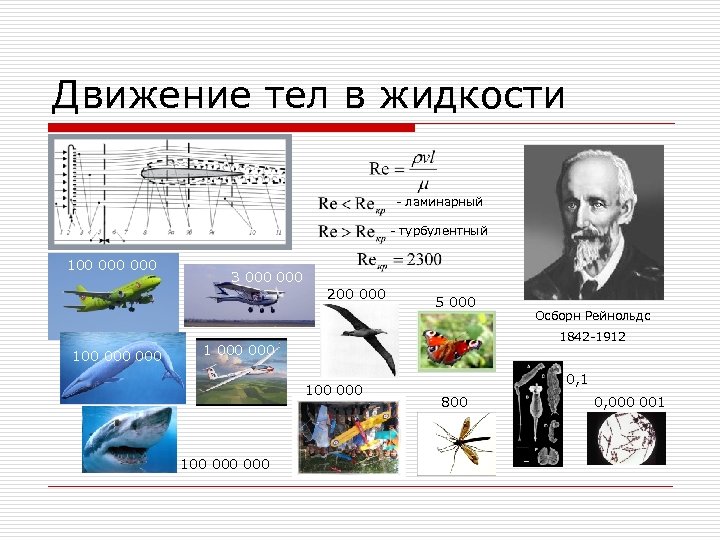 Движение тел в жидкости - ламинарный - турбулентный 100 000 3 000 200 000