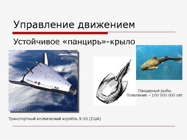 Управление движением Устойчивое «панцирь» -крыло Панцирные рыбы Появление – 100 000 лет Транспортный космический