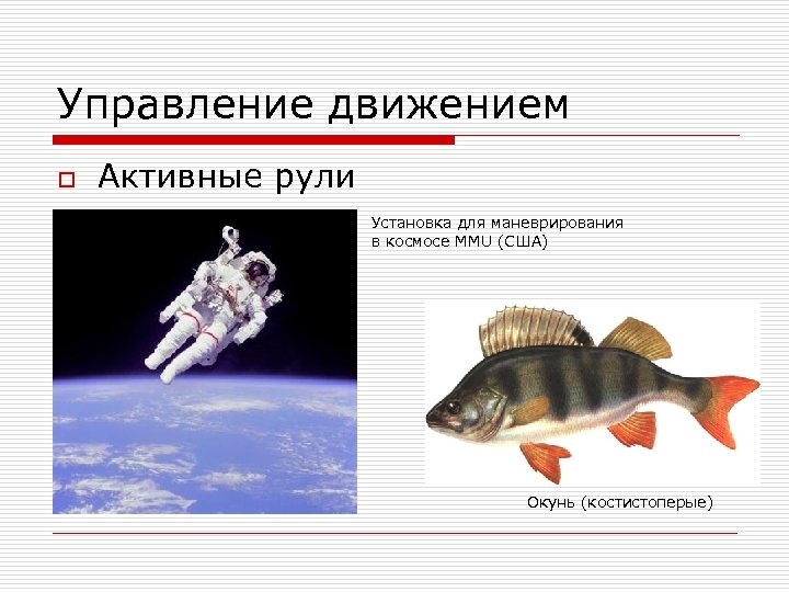 Управление движением o Активные рули Установка для маневрирования в космосе MMU (США) Окунь (костистоперые)