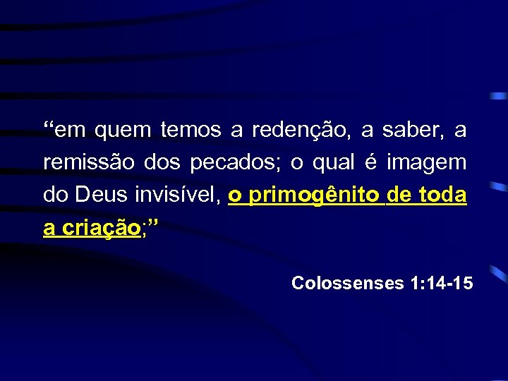 “em quem temos a redenção, a saber, a remissão dos pecados; o qual é