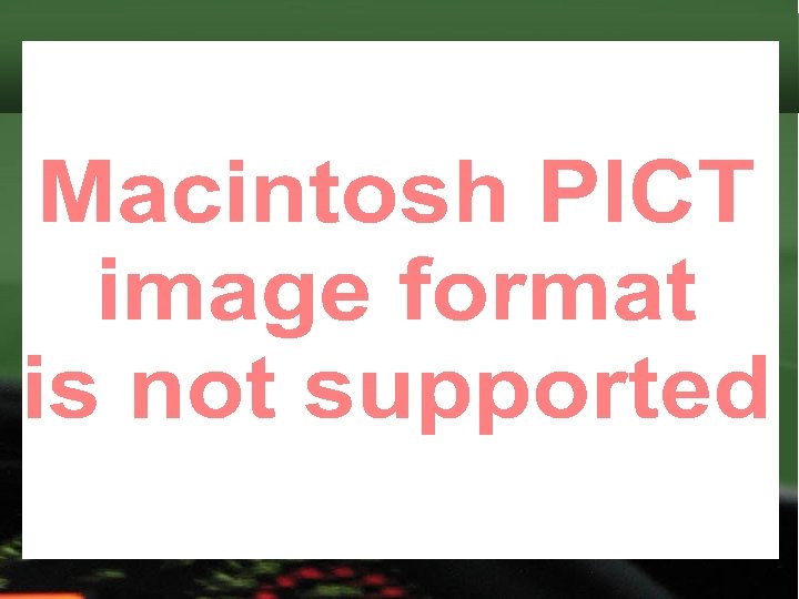 Suspension Orders Issued For Non-Compliance with School Attendance 