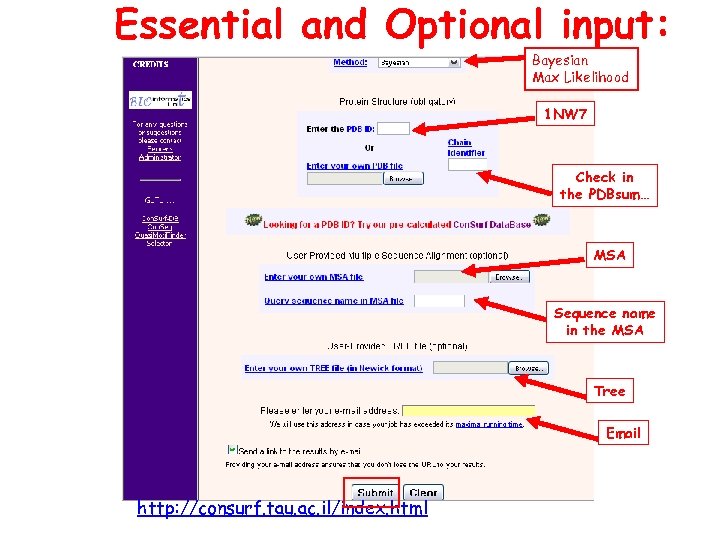 Essential and Optional input: Bayesian Max Likelihood 1 NW 7 Check in the PDBsum…