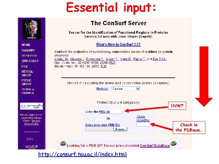 Essential input: 1 NW 7 Check in the PDBsum… http: //consurf. tau. ac. il/index.