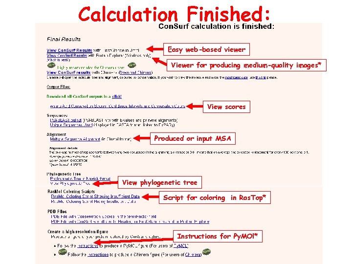 Calculation Finished: Easy web-based viewer Viewer for producing medium-quality images* View scores Produced or