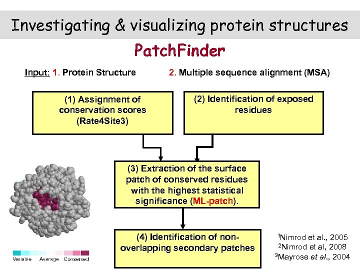 Investigating & visualizing protein structures Patch. Finder Input: 1. Protein Structure (1) Assignment of