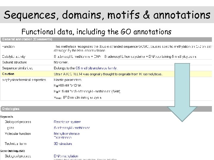 Sequences, domains, motifs & annotations Functional data, including the GO annotations Scroll down to