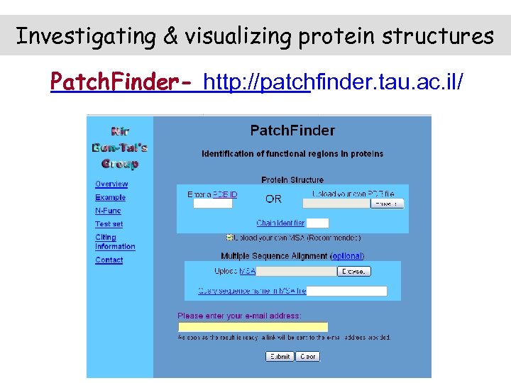 Investigating & visualizing protein structures Patch. Finder- http: //patchfinder. tau. ac. il/ 