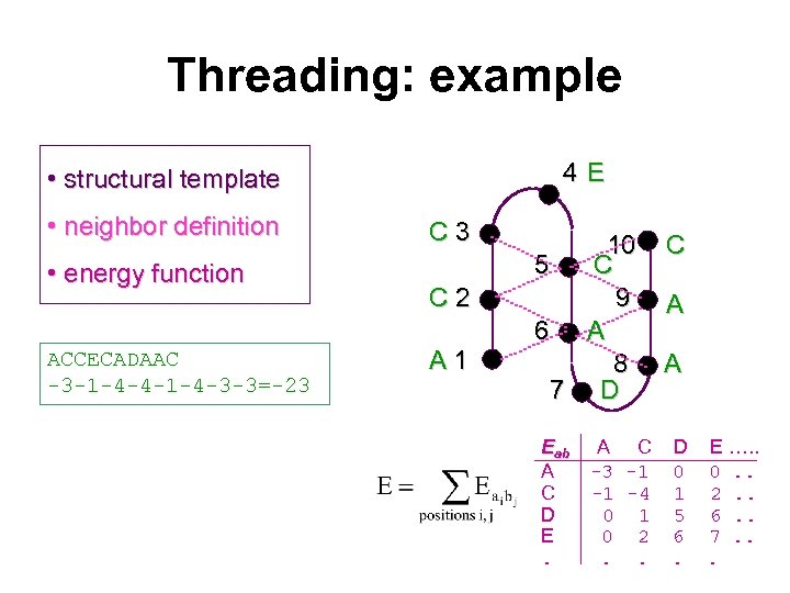Threading: example 4 E • structural template • neighbor definition • energy function ACCECADAAC