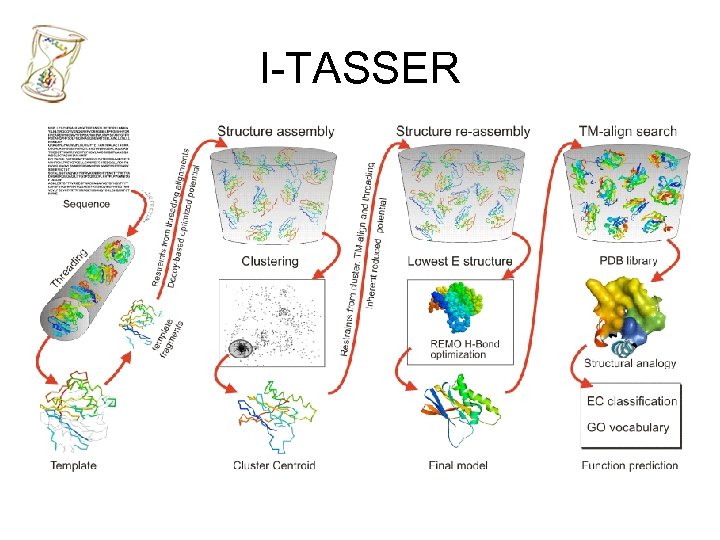 I-TASSER 