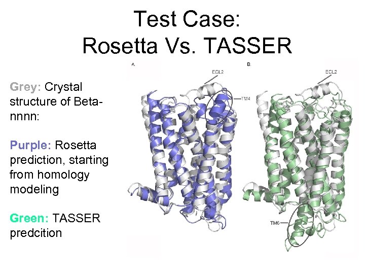 Test Case: Rosetta Vs. TASSER Grey: Crystal structure of Betannnn: Purple: Rosetta prediction, starting