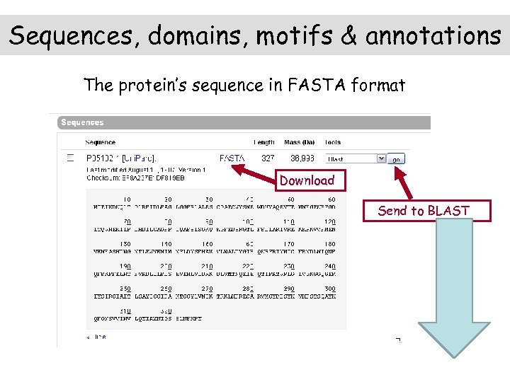 Sequences, domains, motifs & annotations The protein’s sequence in FASTA format Download Send to