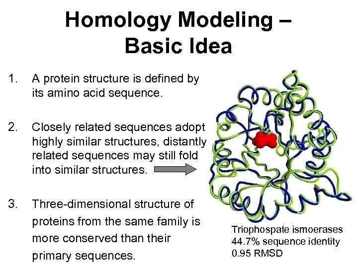 Homology Modeling – Basic Idea 1. A protein structure is defined by its amino