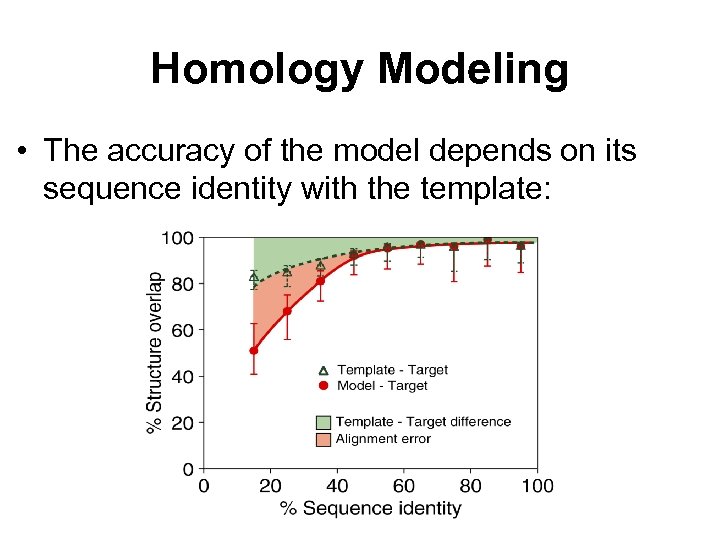 Homology Modeling • The accuracy of the model depends on its sequence identity with
