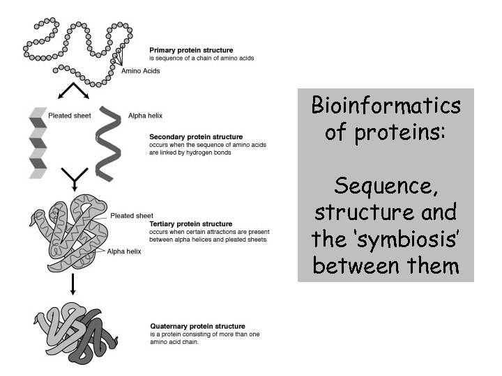 Bioinformatics of proteins: Sequence, structure and the ‘symbiosis’ between them 