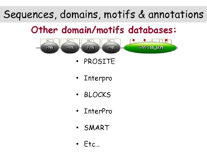 Sequences, domains, motifs & annotations Other domain/motifs databases: • PROSITE • Interpro • BLOCKS