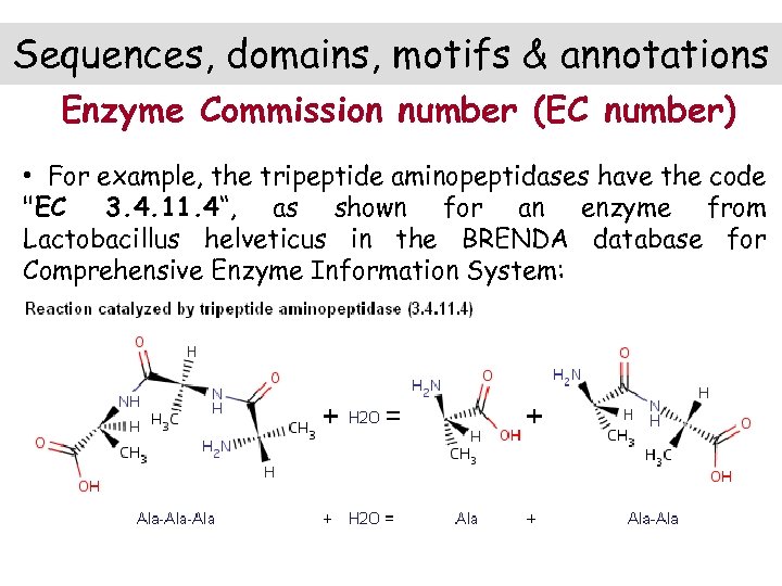 Sequences, domains, motifs & annotations Enzyme Commission number (EC number) • For example, the