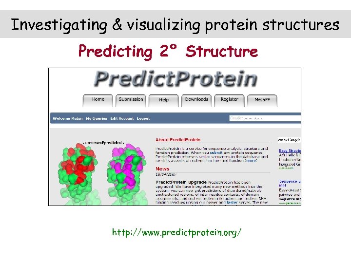 Investigating & visualizing protein structures Predicting 2° Structure http: //www. predictprotein. org/ 