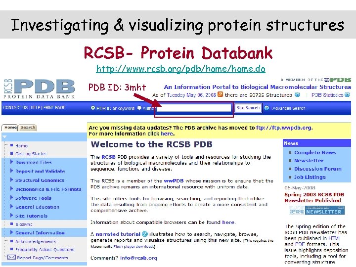 Investigating & visualizing protein structures RCSB- Protein Databank http: //www. rcsb. org/pdb/home. do PDB