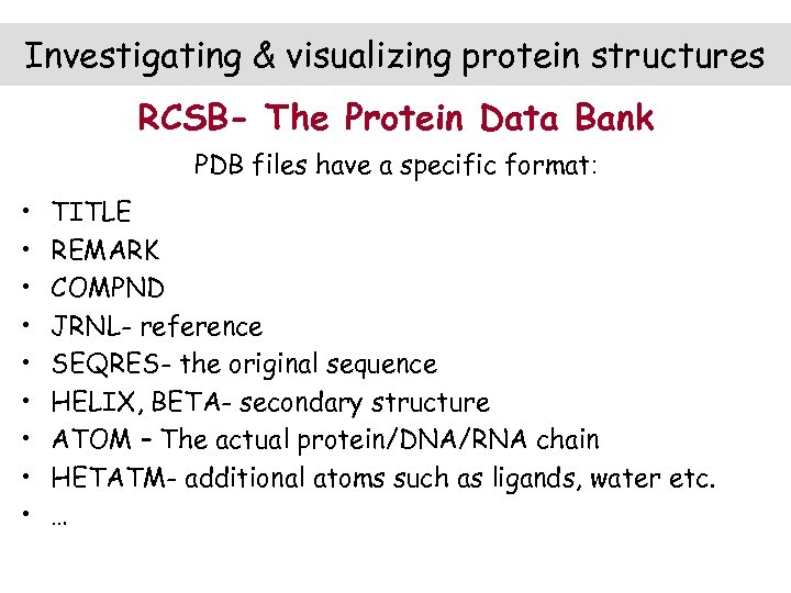 Investigating & visualizing protein structures RCSB- The Protein Data Bank PDB files have a