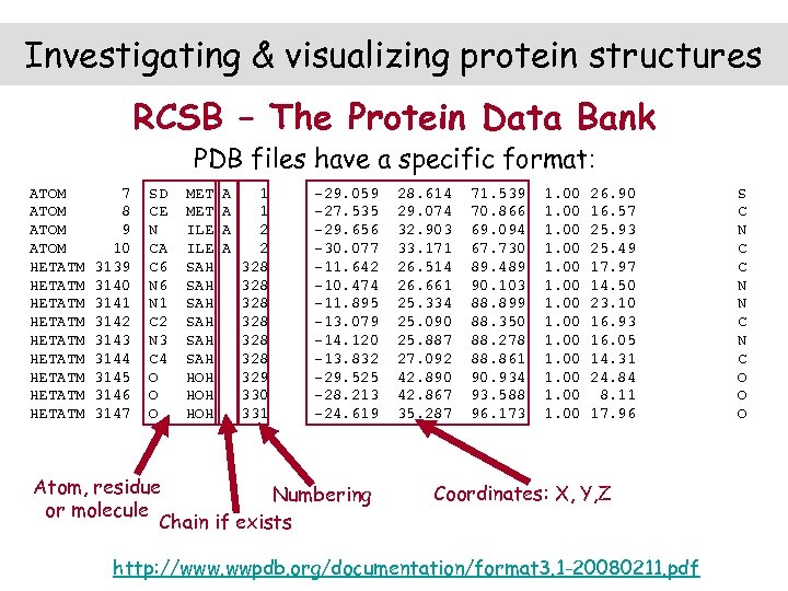 Investigating & visualizing protein structures RCSB – The Protein Data Bank PDB files have