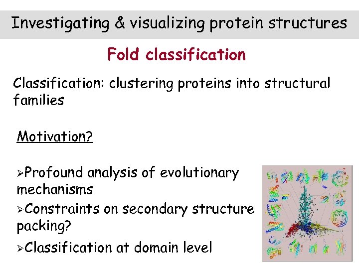 Investigating & visualizing protein structures Fold classification Classification: clustering proteins into structural families Motivation?