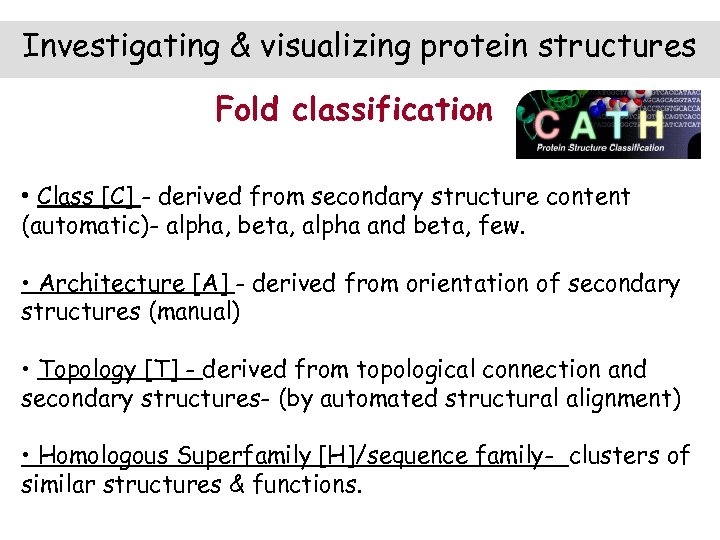 Investigating & visualizing protein structures Fold classification • Class [C] - derived from secondary