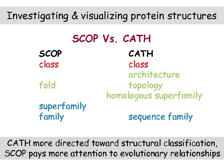 Investigating & visualizing protein structures SCOP Vs. CATH SCOP class fold superfamily CATH class