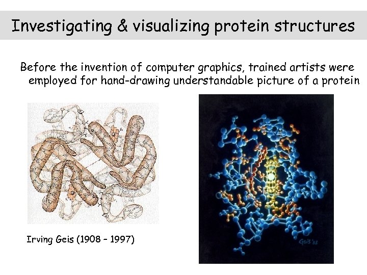 Investigating & visualizing protein structures Before the invention of computer graphics, trained artists were