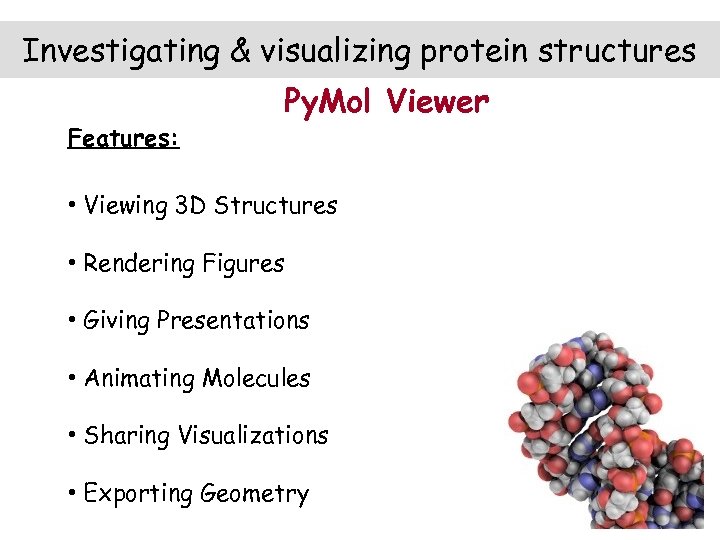 Investigating & visualizing protein structures Features: Py. Mol Viewer • Viewing 3 D Structures