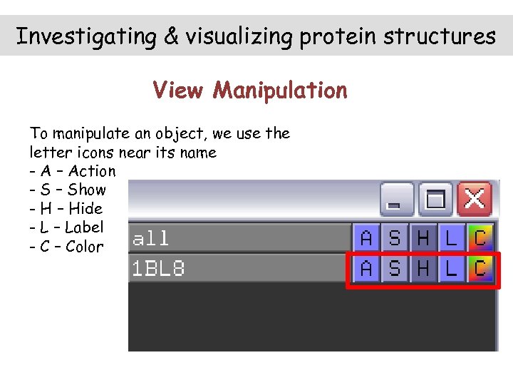 Investigating & visualizing protein structures View Manipulation To manipulate an object, we use the