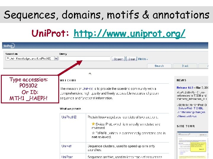 Sequences, domains, motifs & annotations Uni. Prot: http: //www. uniprot. org/ Type accession: P