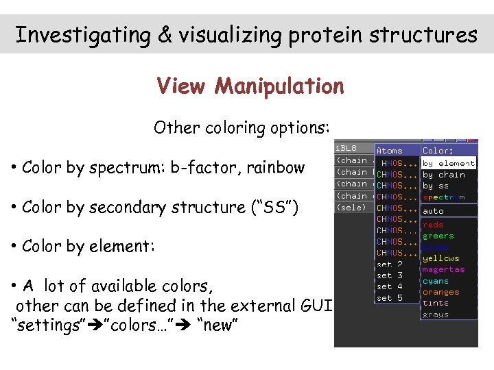 Investigating & visualizing protein structures View Manipulation Other coloring options: • Color by spectrum: