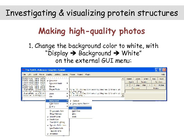 Investigating & visualizing protein structures Making high-quality photos 1. Change the background color to