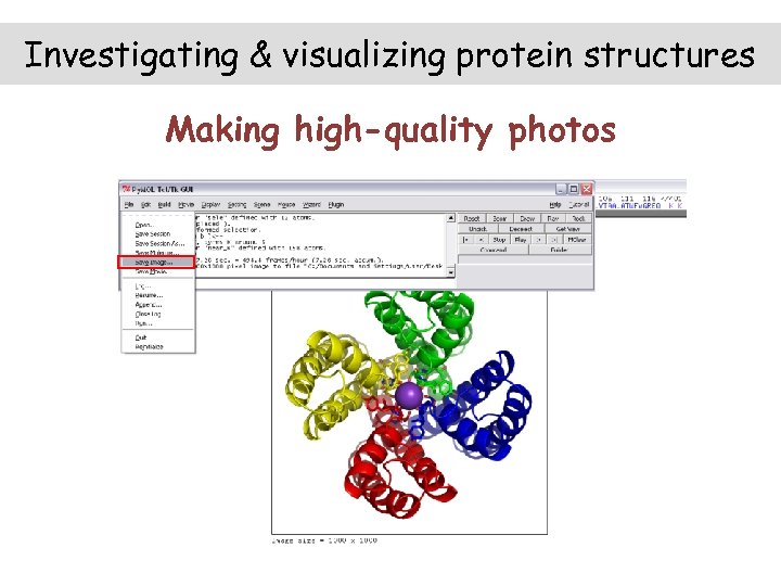 Investigating & visualizing protein structures Making high-quality photos 