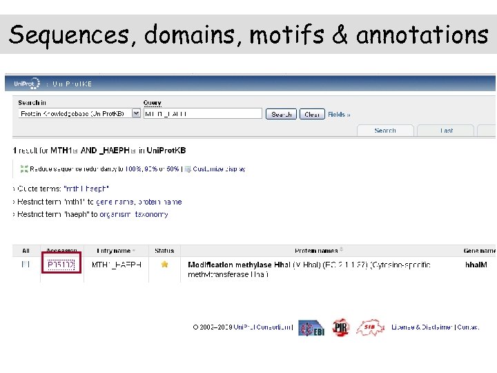 Sequences, domains, motifs & annotations 