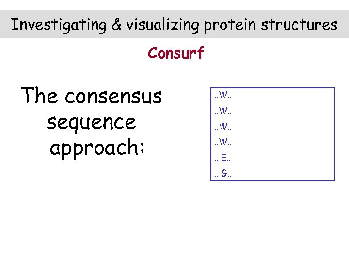 Investigating & visualizing protein structures Consurf The consensus sequence approach: . . W. .