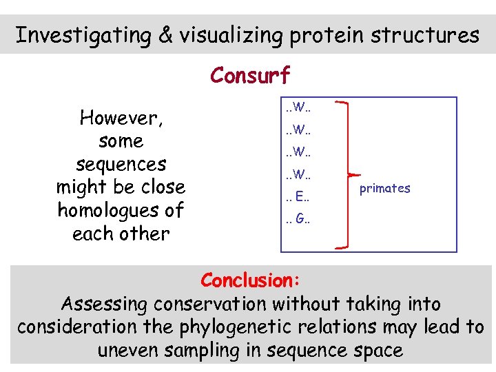 Investigating & visualizing protein structures Consurf However, some sequences might be close homologues of