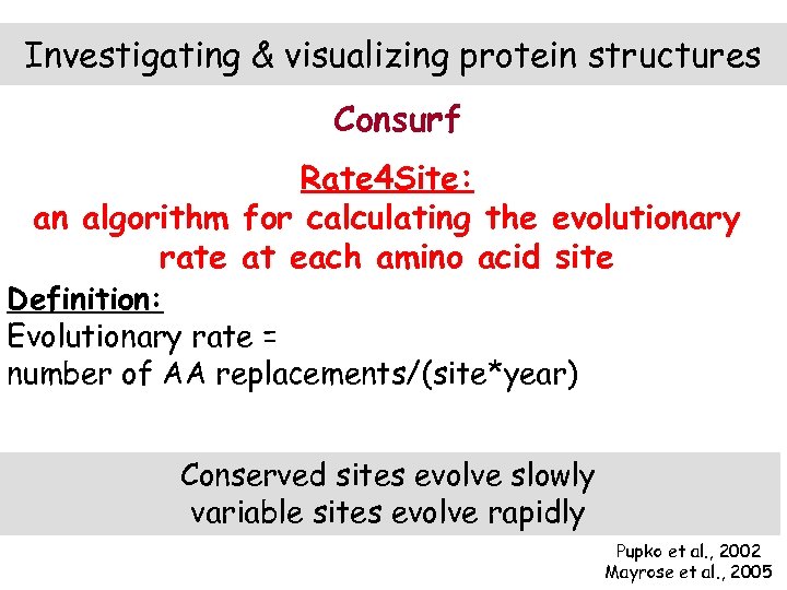 Investigating & visualizing protein structures Consurf Rate 4 Site: an algorithm for calculating the