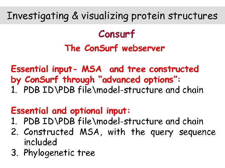 Investigating & visualizing protein structures Consurf The Con. Surf webserver Essential input- MSA and