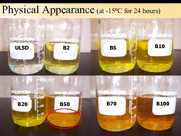 Physical Appearance (at -15ºC for 24 hours) ULSD B 2 B 5 B 20