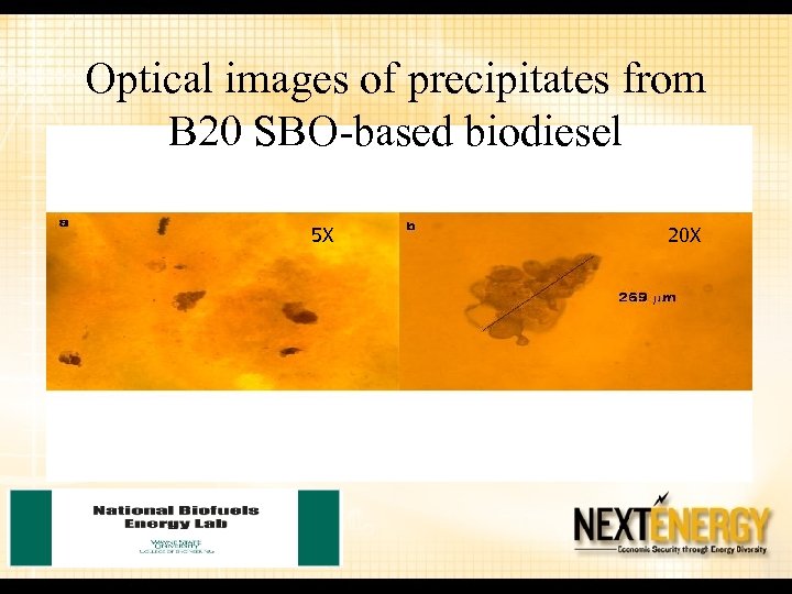 Optical images of precipitates from B 20 SBO-based biodiesel 5 X 20 X 