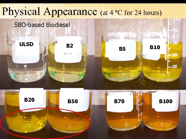 Physical Appearance (at 4 ºC for 24 hours) SBO-based Biodiesel ULSD B 20 B